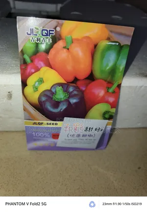 Colored Sweet Pepper Seeds