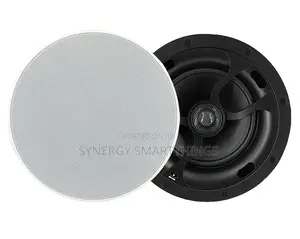 30watt Passive Ceiling Speaker