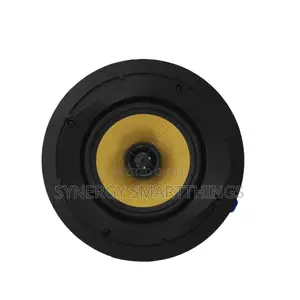 50watt Passive Ceiling Speaker