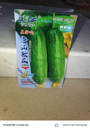 English Cucumber Seeds