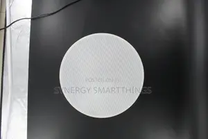 15watt Passive Ceiling Speaker