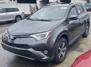 Toyota RAV4 XLE AWD (2.5L 4cyl 6A) 2017 Gray