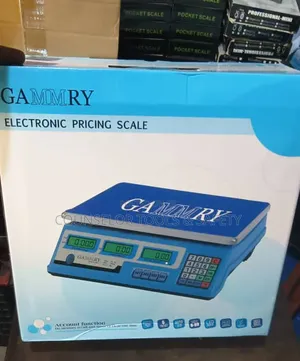 40kg Gammry Scale