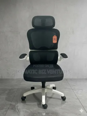 Ergonomic Classic Office Chair