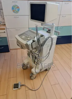 Ge Logiq 200 Ultrasound With 2 or 3 Probes