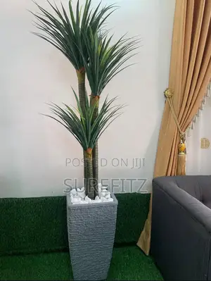 Desert Gp Plant With Vase