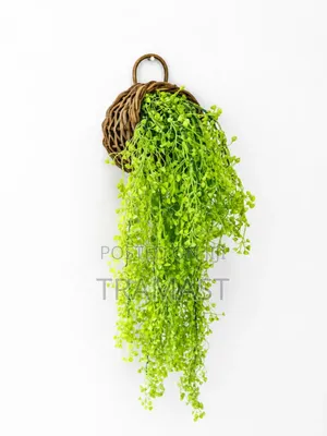 Dropping Vines Hanging Basket (Rattan Basket) 65cm