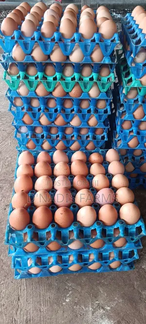 Fresh Eggs