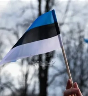 Estonia Tourist Visa