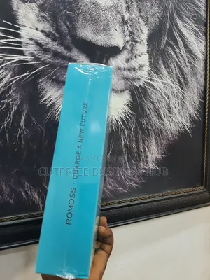 Romoss Fast Charging Power Bank (40000 Mah )