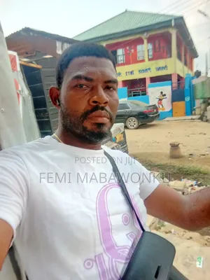 Mr Femi Mabawonku
