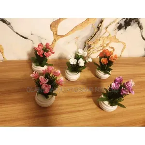 Mini Home Deco Plants With Pots