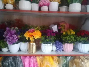 Cup Flower