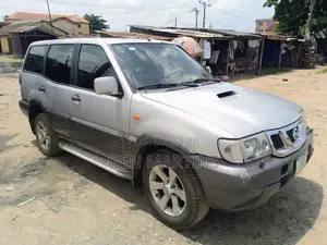 Nissan Terrano 2005 Silver