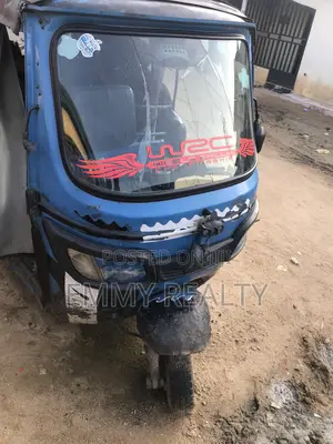 Tricycle 2015 Blue