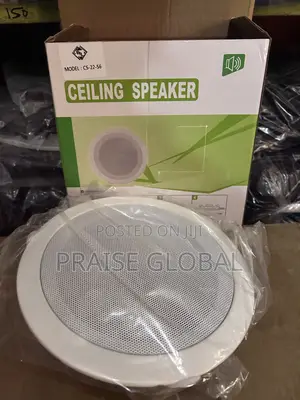 6 Inches Ceiling Speaker