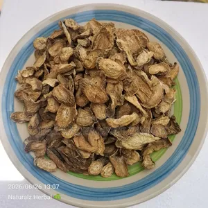 Burdock Root -250g