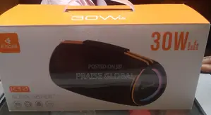 Kisoli 30w Outdoor Portable Subwoofer