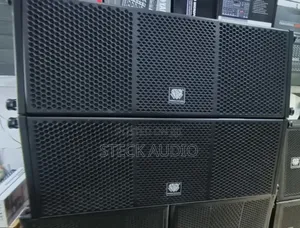 Steck Audio Double 10" Neodymium Woofer and 75.5mm Tweeter Horn Line
