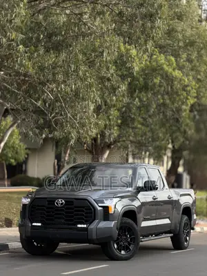 Toyota Tundra Limited CrewMax 6.5' Bed 2024 Gray