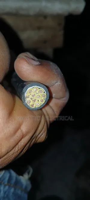 2.5mm 12core PVC PVC Armoured Cable