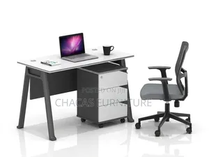 Premium Minimalist Office Desk With Modesty Panel