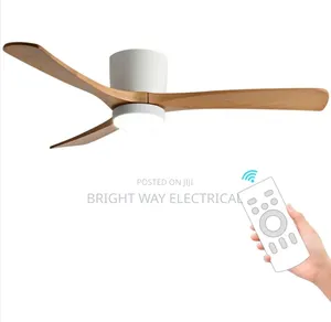 Fancy Fans