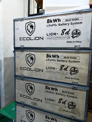 Ecolion 8kwh 24v Lithium Ion Battery – Reliable Long Backup Power