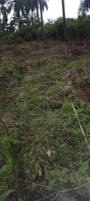 Two Plots of Land for Sale in Umuopara, Umuahia