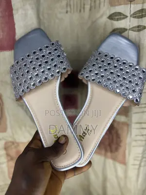 Silver Max Brand Slides