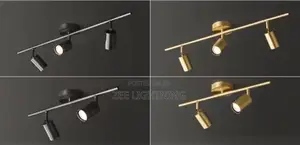 3in1 Modern Track Light and 2in1 Design (800mm and 600mm)
