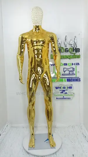 Dimkpa Muscular Gold Chrome Male With Diamond Net Head