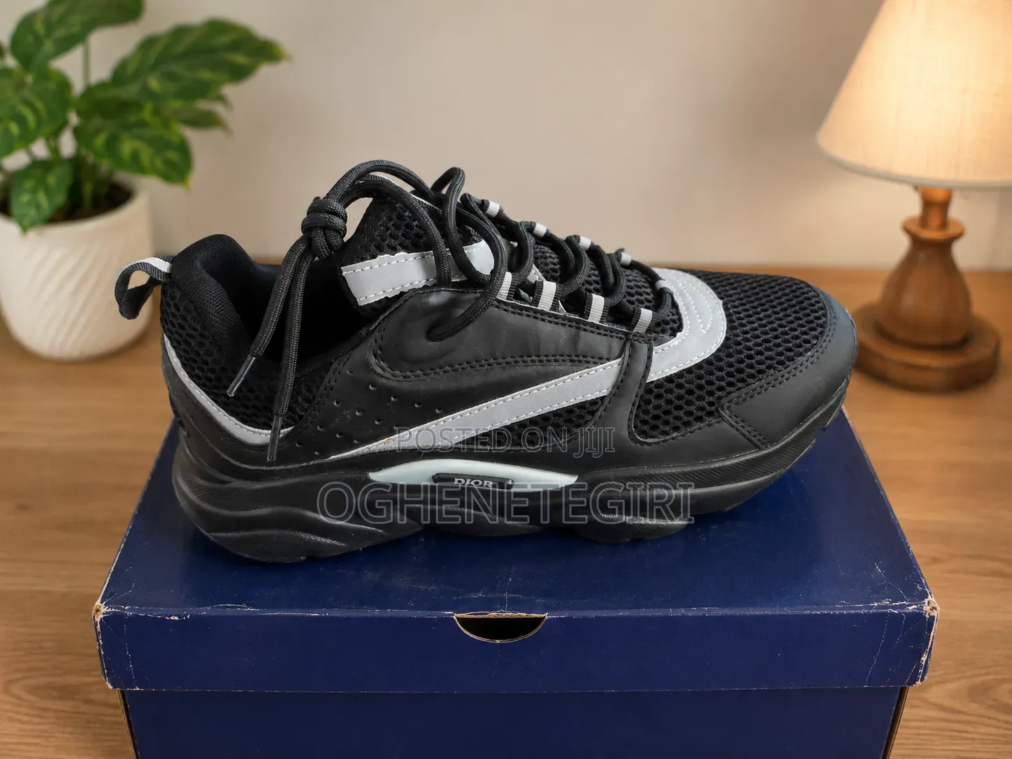 Sharp Dior Shoe