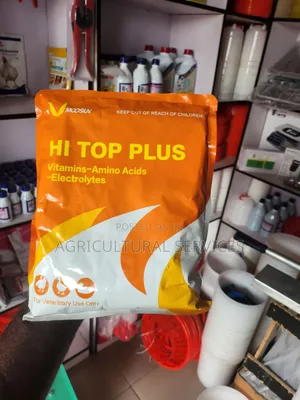 Hi Top Plus