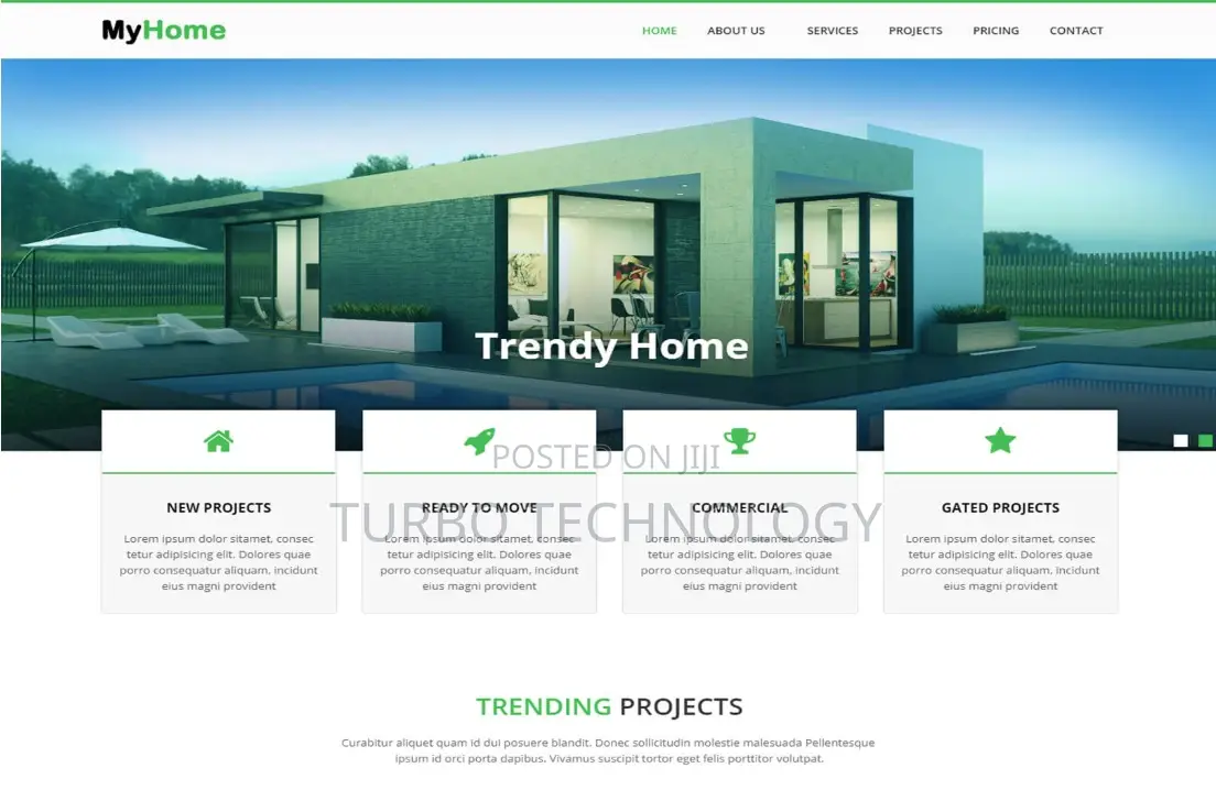 Website Design and Development