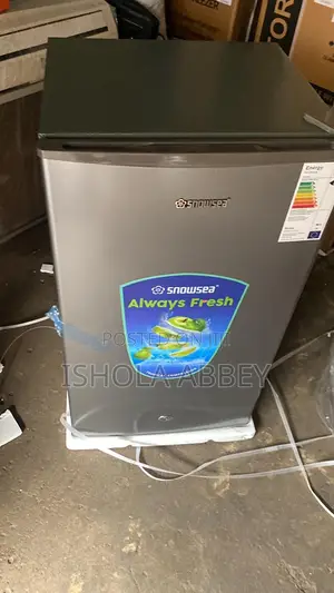 Snowsea Fridge for Sale