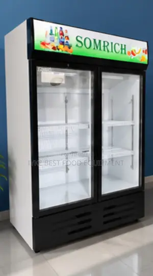 Double Door Chiller