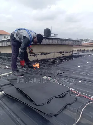 Truculent Roof Waterproofing Expert