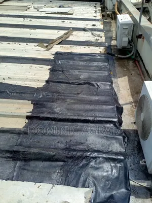 Valetudinarian Roof Waterproofing Expert