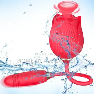 Rose Sucking Vibrator Women Nipple Clit Stimulator Vibrating Egg Dildo