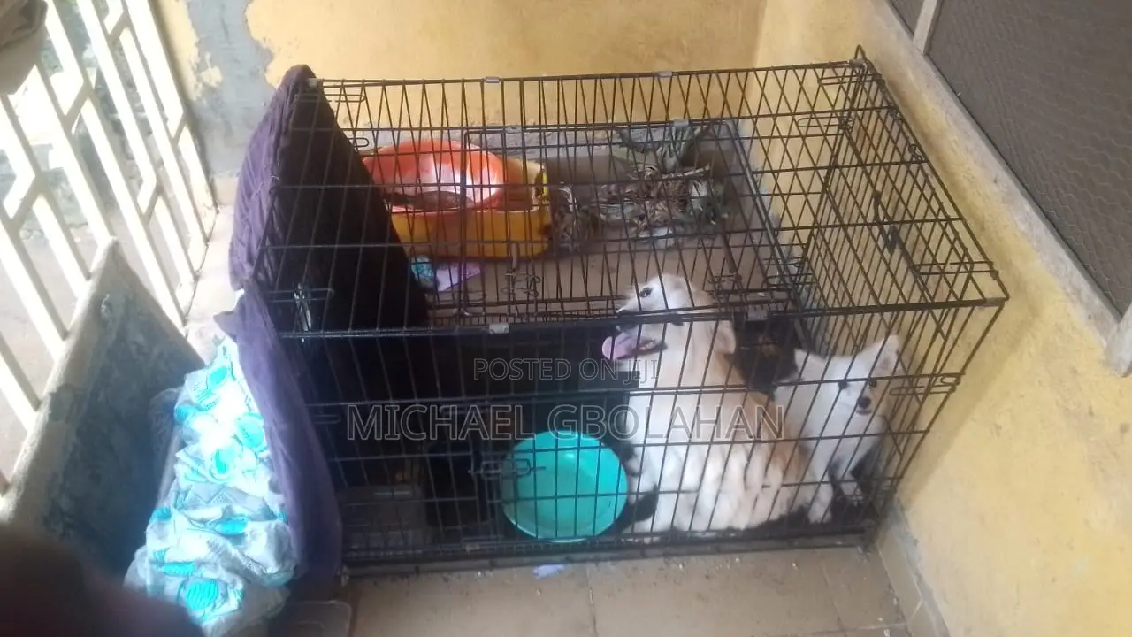 Size 4 Anti Rust Collapsible Cage