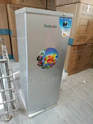 Foresolar 198l Ice Block Freezer