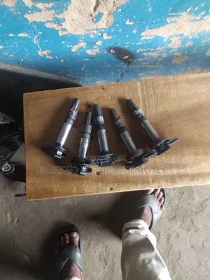 Range Rover Sport 06/08 Coil