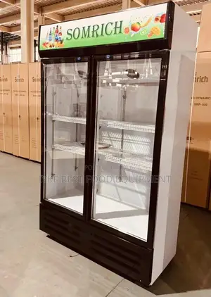 Double Door Chiller