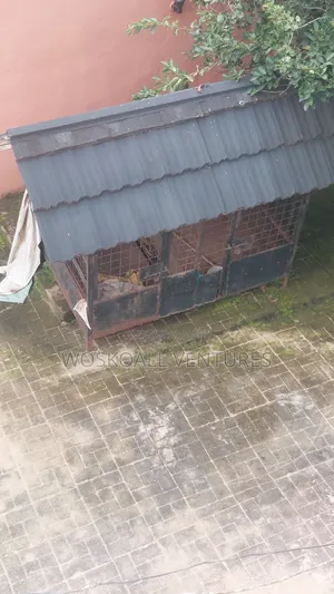 Dog Cage for Sale