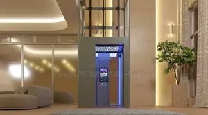 Door Safety Interlocks Home Elevator
