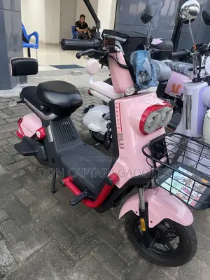 Df Electric Bike ( Rechargeable ) Elu