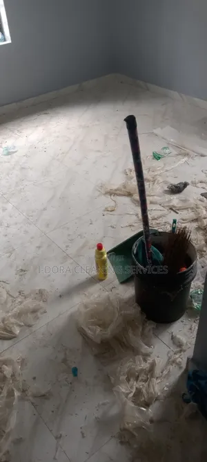 House/Office/Industrial Cleaning Services and Fumigation