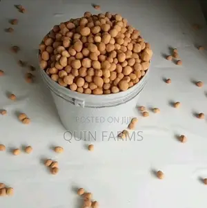 Crunchy Peanut Burger