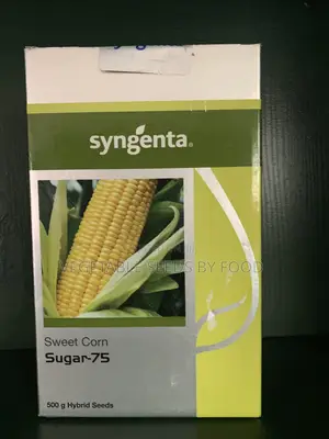 Sugar-75 Sweet Corn